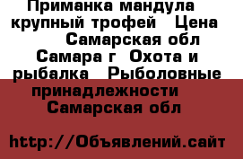 Приманка мандула - крупный трофей › Цена ­ 350 - Самарская обл., Самара г. Охота и рыбалка » Рыболовные принадлежности   . Самарская обл.